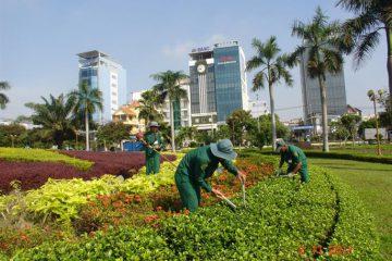 Dịch vụ duy trì cảnh quan